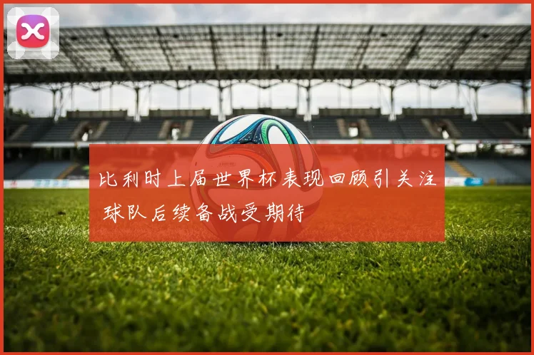 比利时上届世界杯表现回顾引关注 球队后续备战受期待